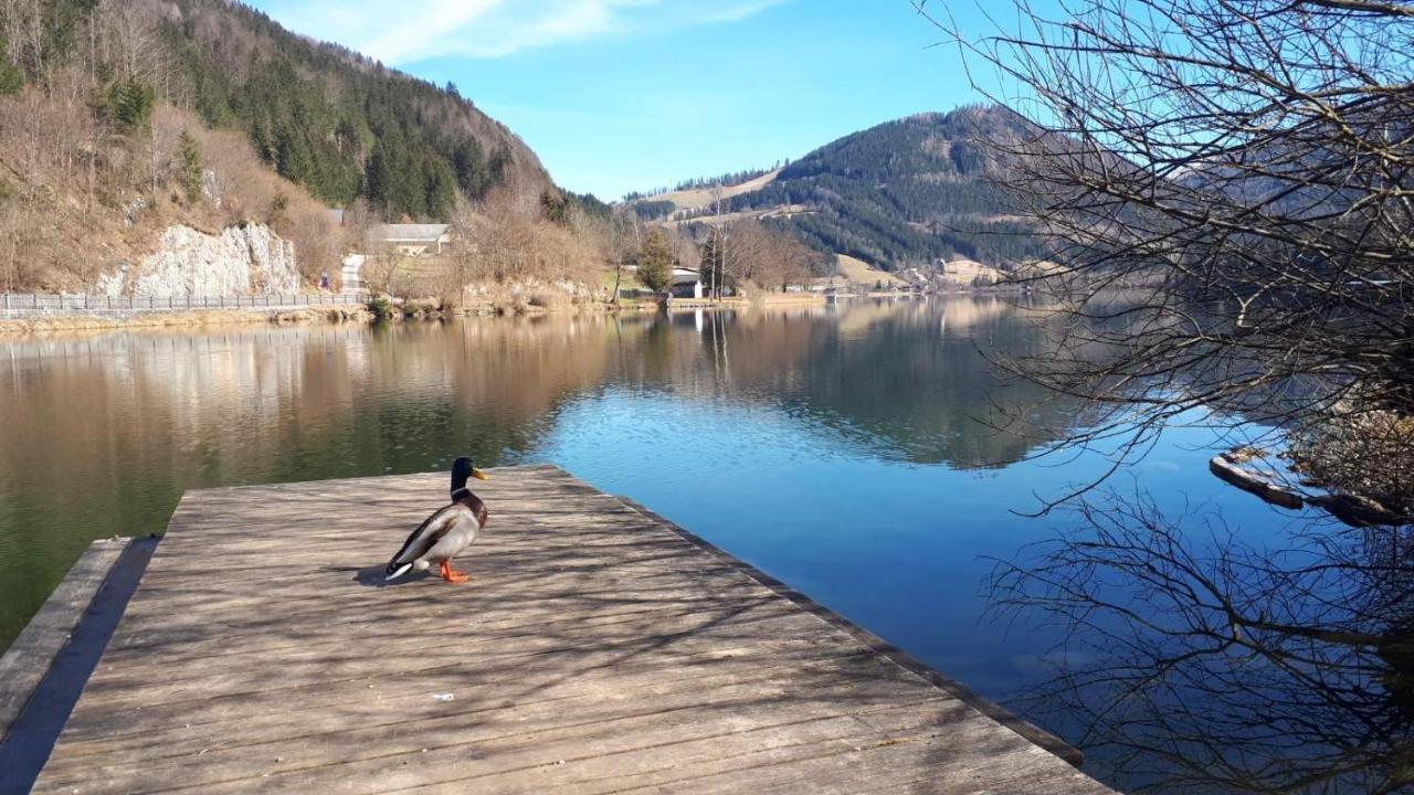 Holiday House Promenade Lunz am See Exteriér fotografie